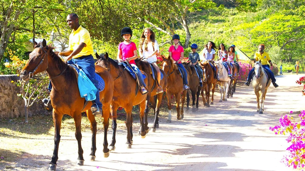 Picture 5 for Activity From Runaway Bay: Horseback Ride and Swim Countryside Tour