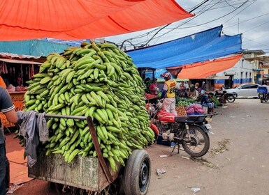 De Puerto Plata Priv : Cacao, Café, Cigares et Marché local