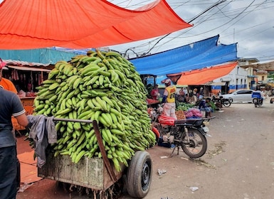 Da Puerto Plata Priv: Cacao, caffè, sigari e mercato locale