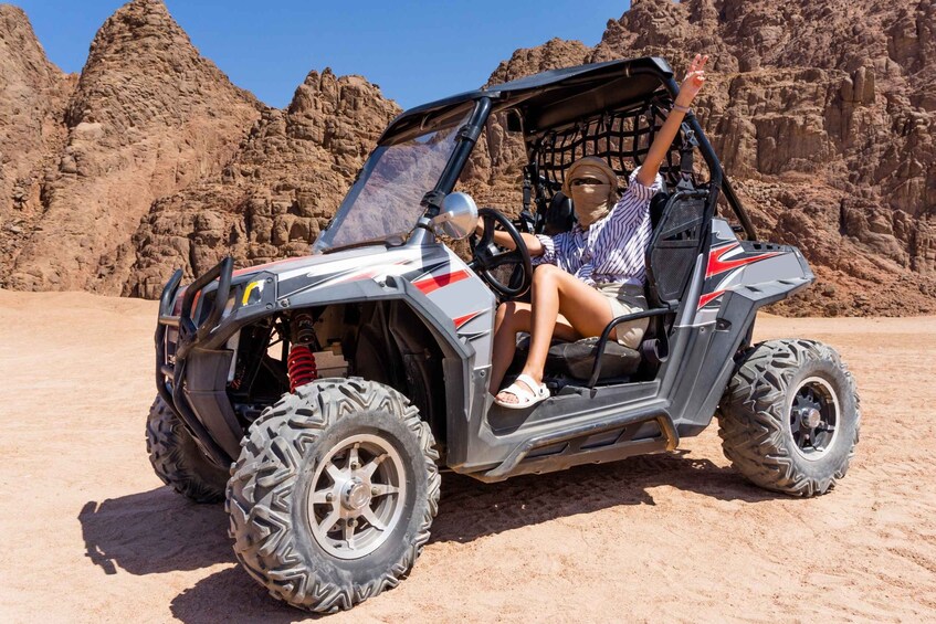 Sharm El-Sheikh: Sunset Buggy Safari and Camel Tour with BBQ