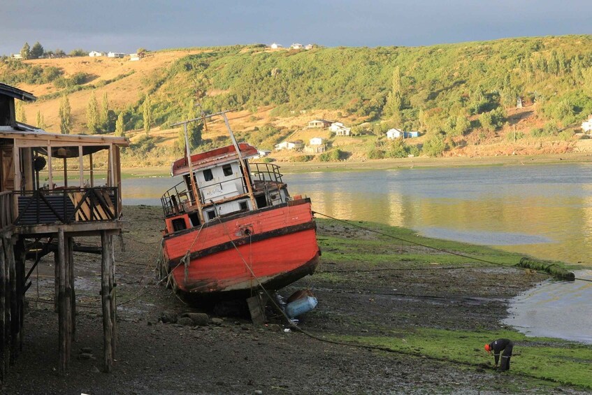 Picture 1 for Activity From Puerto Varas: Chiloe Island Full-day Tour