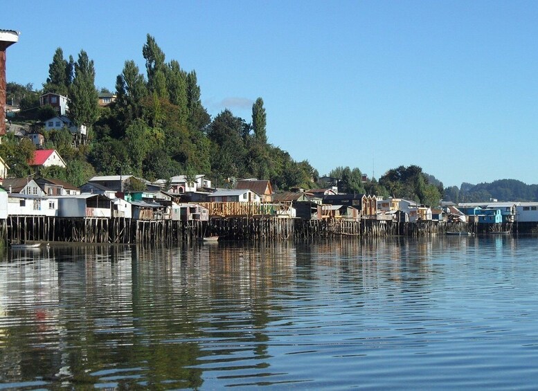 Picture 2 for Activity From Puerto Varas: Chiloe Island Full-day Tour