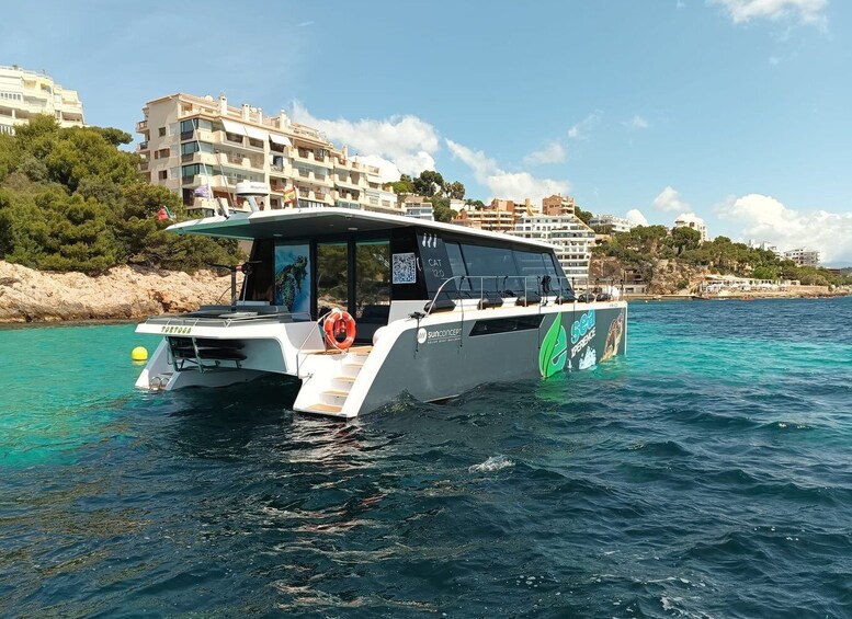 Snorkeling experience onboard of E-Catamaran at Palma Bay