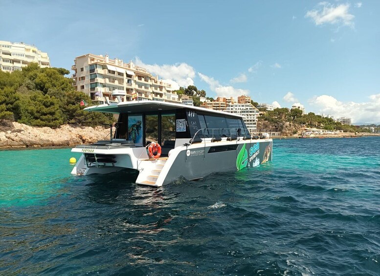 E-Catamaran at Palma Bay