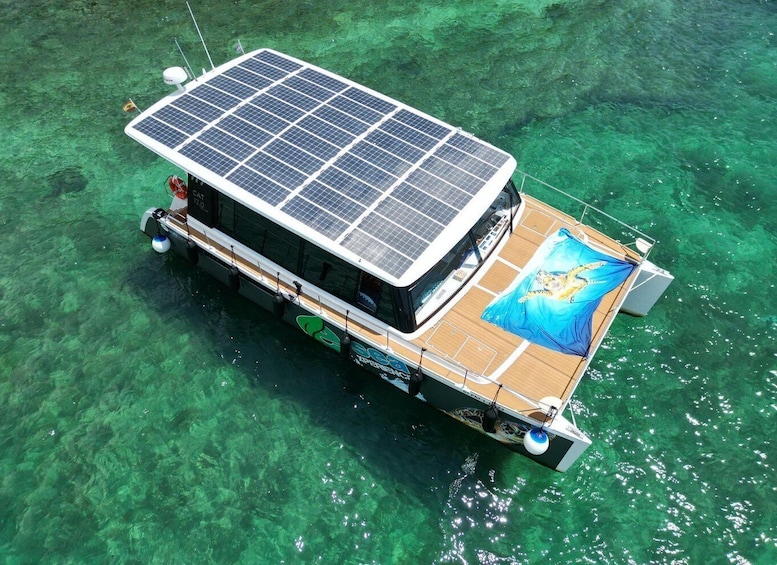 CATAMARAN ECO EXPERIENCE at Palma Bay