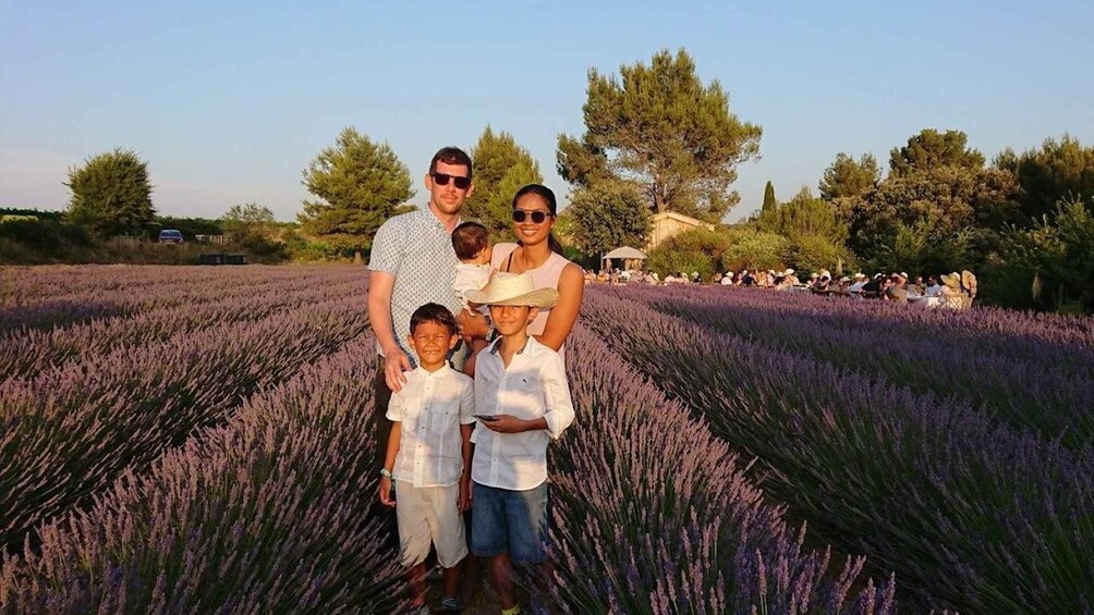 Montpellier : Visit lavender field and an Olive Oil Mill