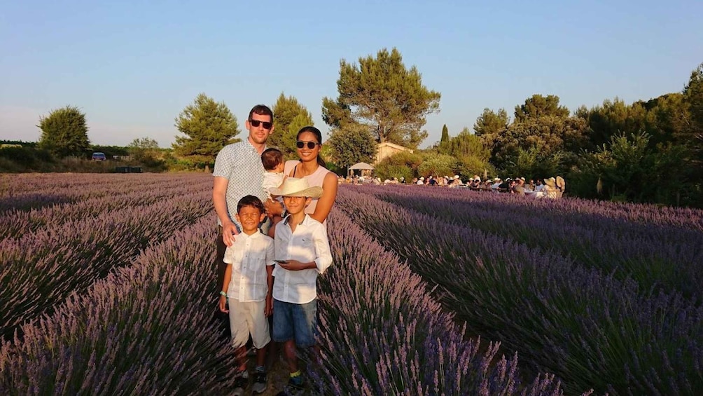 Montpellier : Visit lavender field and an Olive Oil Mill