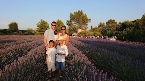 Montpellier: visita un campo de lavanda y un molino de aceite de oliva