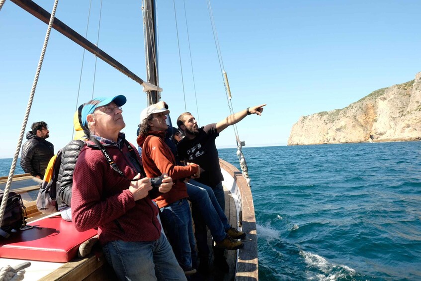 Picture 17 for Activity Sesimbra: Cliffs, Bays & Beaches Aboard a Traditional Boat