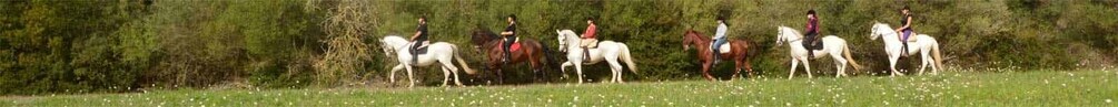 Picture 3 for Activity Mallorca: Guided Horseriding Tour of Randa Valley