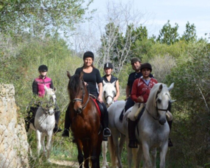 Picture 2 for Activity Mallorca: Guided Horseriding Tour of Randa Valley