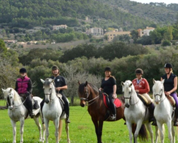 Mallorca: Guided Horseriding Tour of Randa Valley