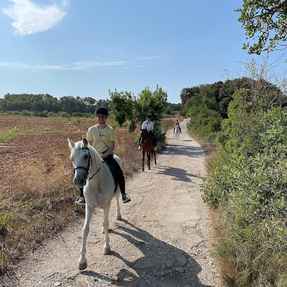 Picture 4 for Activity Mallorca: Guided Horseriding Tour of Randa Valley