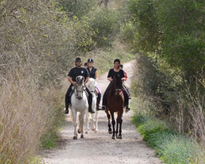 Picture 1 for Activity Mallorca: Guided Horseriding Tour of Randa Valley