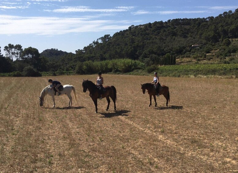 Picture 10 for Activity Mallorca: Guided Horseriding Tour of Randa Valley