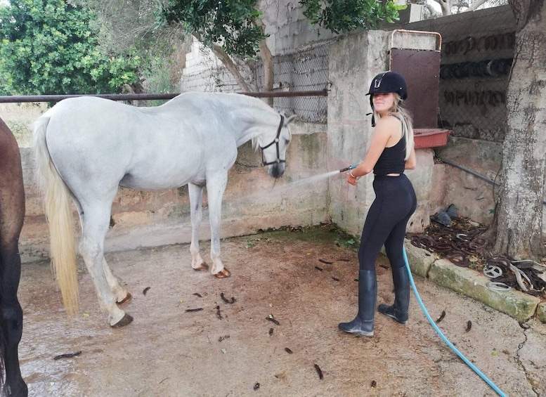 Picture 5 for Activity Mallorca: Guided Horseriding Tour of Randa Valley