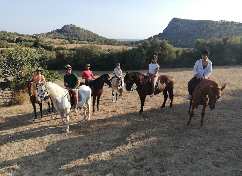 Picture 8 for Activity Mallorca: Guided Horseriding Tour of Randa Valley