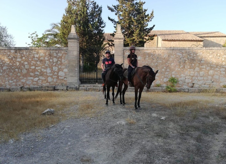 Picture 9 for Activity Mallorca: Guided Horseriding Tour of Randa Valley