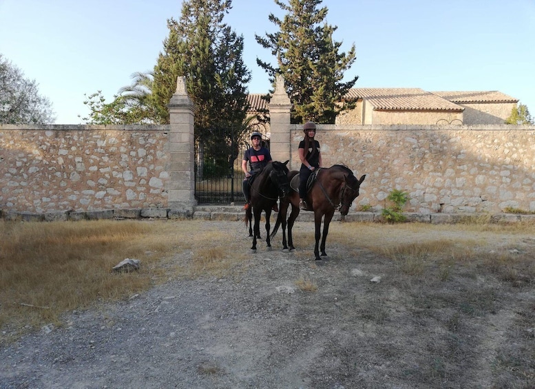 Picture 9 for Activity Mallorca: Guided Horseriding Tour of Randa Valley