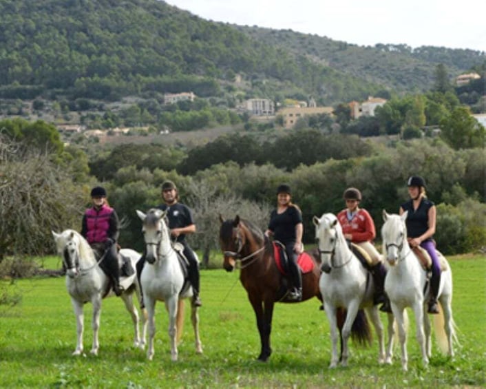 Mallorca: Guided Horseriding Tour of Randa Valley