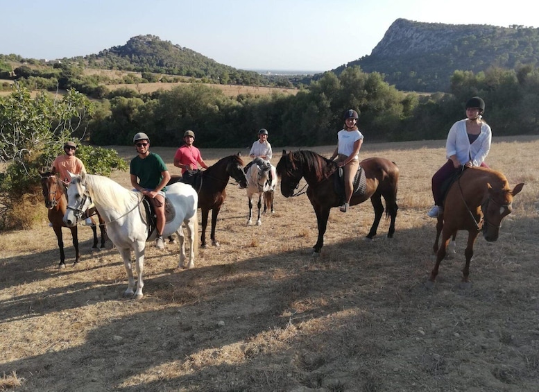 Picture 8 for Activity Mallorca: Guided Horseriding Tour of Randa Valley