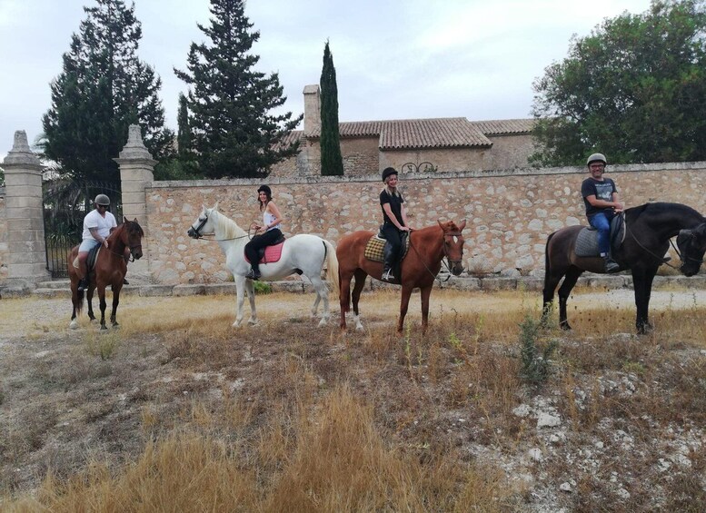 Picture 11 for Activity Mallorca: Guided Horseriding Tour of Randa Valley