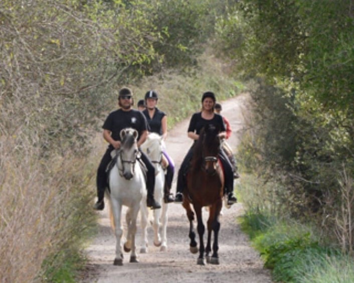 Picture 1 for Activity Mallorca: Guided Horseriding Tour of Randa Valley