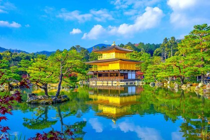 Kyoto highlights Private Customizable Day Tour with a local
