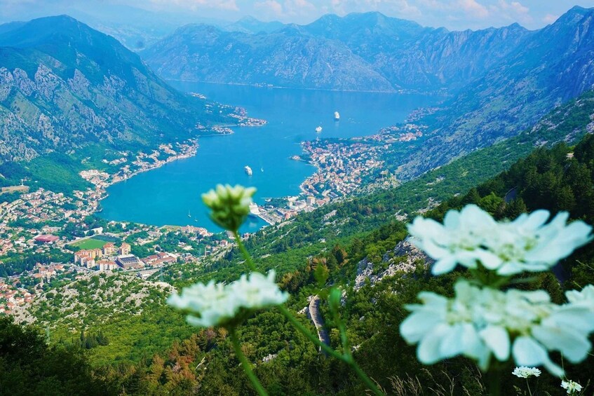 Picture 5 for Activity Kotor: Guided Full-Day Tour of Montenegro