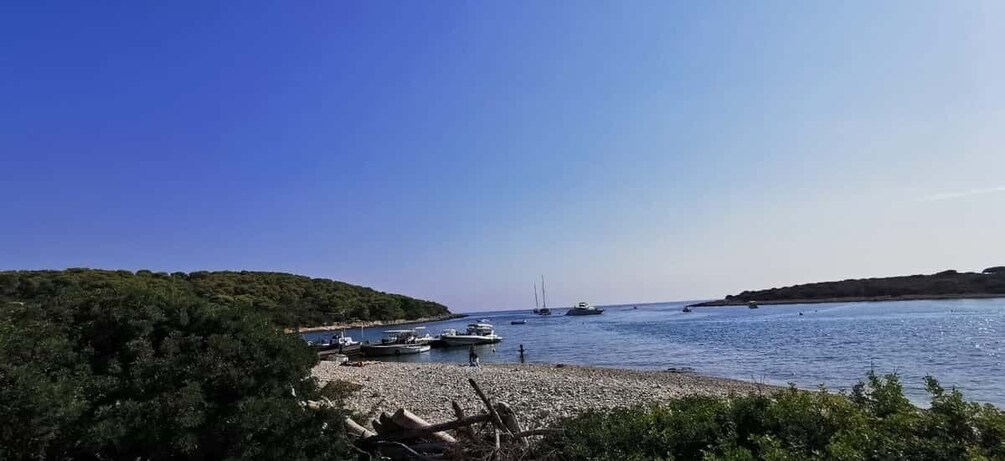 Picture 4 for Activity From Hvar: Red Rocks and Pakleni Islands private boat tour