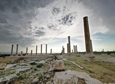 Desde Beirut: Excursión de un día a Sidón, Tiro y Maghdoucheh