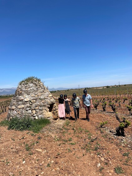 Picture 3 for Activity From Bilbao: La Rioja Wine Tour by E-Bike with Wine Tastings