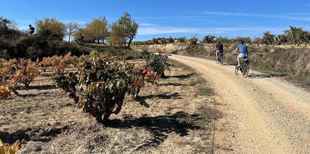 Picture 7 for Activity From Bilbao: La Rioja Wine Tour by E-Bike with Wine Tastings