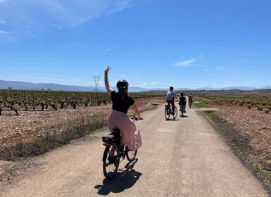 From Bilbao: La Rioja Wine Tour by E-Bike with Wine Tastings