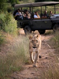 Dagstur til Nyerere nasjonalpark fra Zanzibar