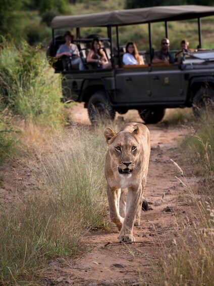 Day trip to Nyerere national park from Zanzibar