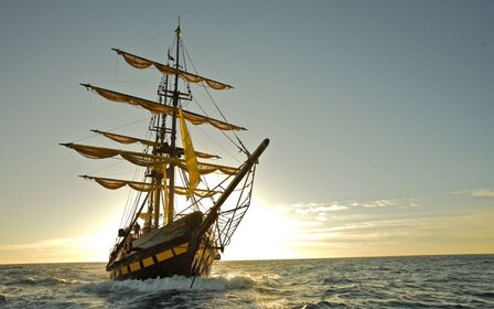 Cabo San Lucas: Piratenschiff-Abenteuer bei Sonnenuntergang Bootstour & BBQ