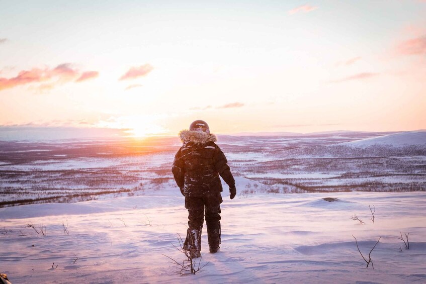 Picture 2 for Activity Views over Lapland, visit the reindeer & lunch at the lodge