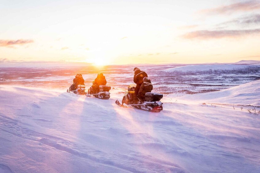 Views over Lapland, visit the reindeer & lunch at the lodge