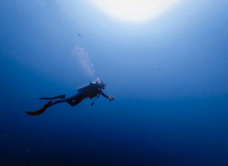 Picture 4 for Activity Scuba Diving at Dusk in Unawatuna