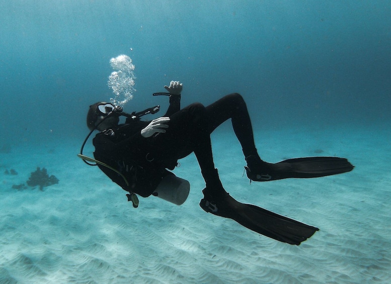 Picture 2 for Activity Scuba Diving at Dusk in Unawatuna