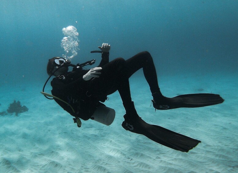 Picture 2 for Activity Scuba Diving at Dusk in Unawatuna