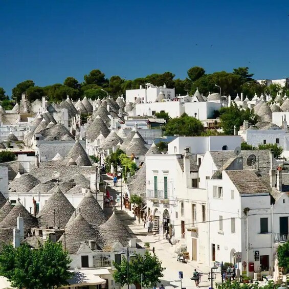 Picture 3 for Activity From Puglia: Local Towns Historic Centers Private Tour
