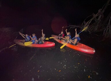 Experiencia en kayak en Mosquito Bay en Vieques