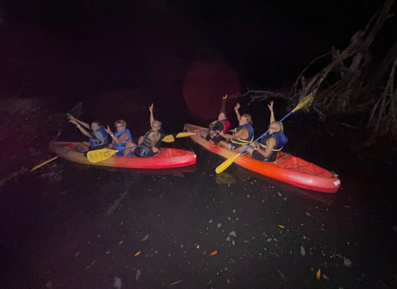 Mosquito bay Kayak Experience in Vieques