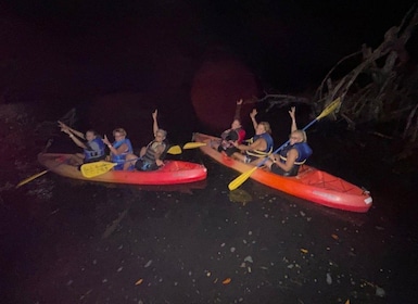 Mosquito bay Kayak Experience in Vieques