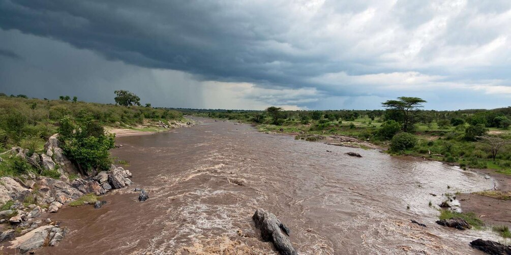 Picture 1 for Activity 3-Day Fly in & Out Zanzibar to Serengeti Premium Safari