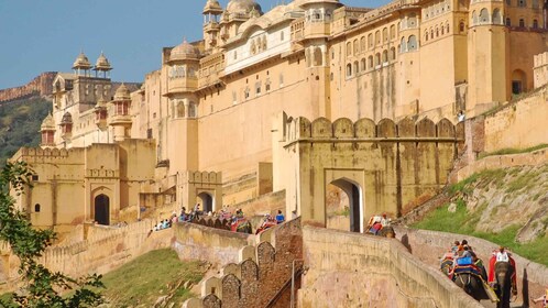 Jaipur: Private Luxus-Highlights Tagestour & feines Essen