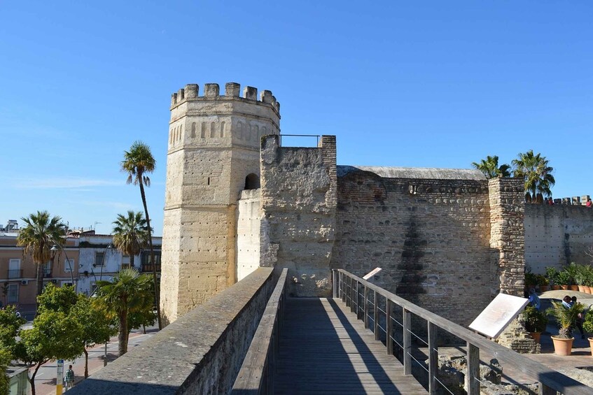 Picture 2 for Activity From Cadiz: Jerez de la Frontera Private Guided Day Trip