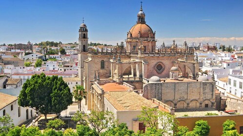 Desde Cádiz: excursión guiada privada de un día a Jerez de la Frontera